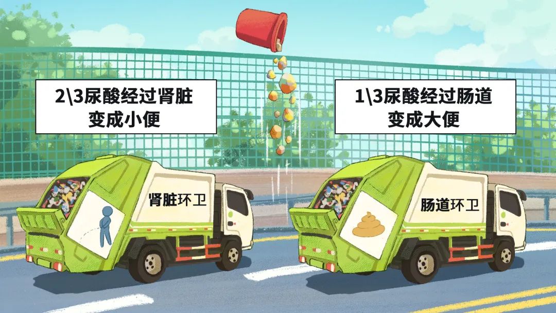 微信图片_20250625120828.jpg