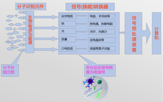 微信图片_2025-08-15_151824_413.png