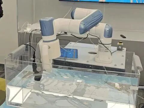 微信图片_2026-01-13_151923_708.jpg 微信图片_2026-01-13_151923_708.jpg