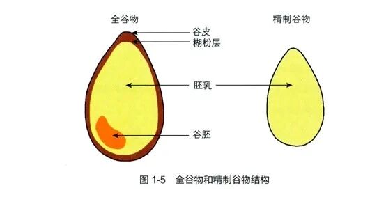 微信图片_2026-06-01_155554_476.jpg